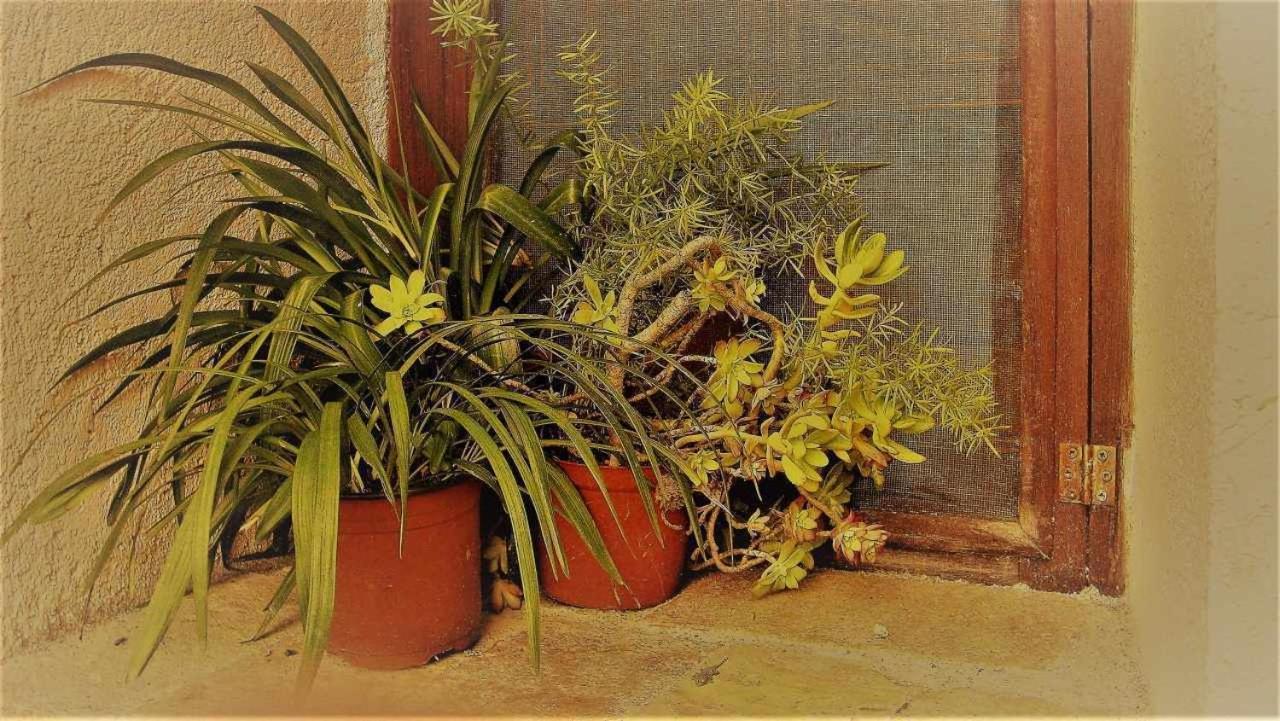 Ca Lesperrucat Acogedora Casa De Pueblo Tranquila Y Bien Comunicada Villa Argelaguer Dış mekan fotoğraf